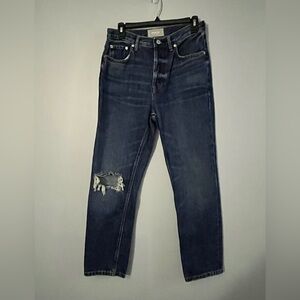 Everlane the Cheeky jean size 27 crop